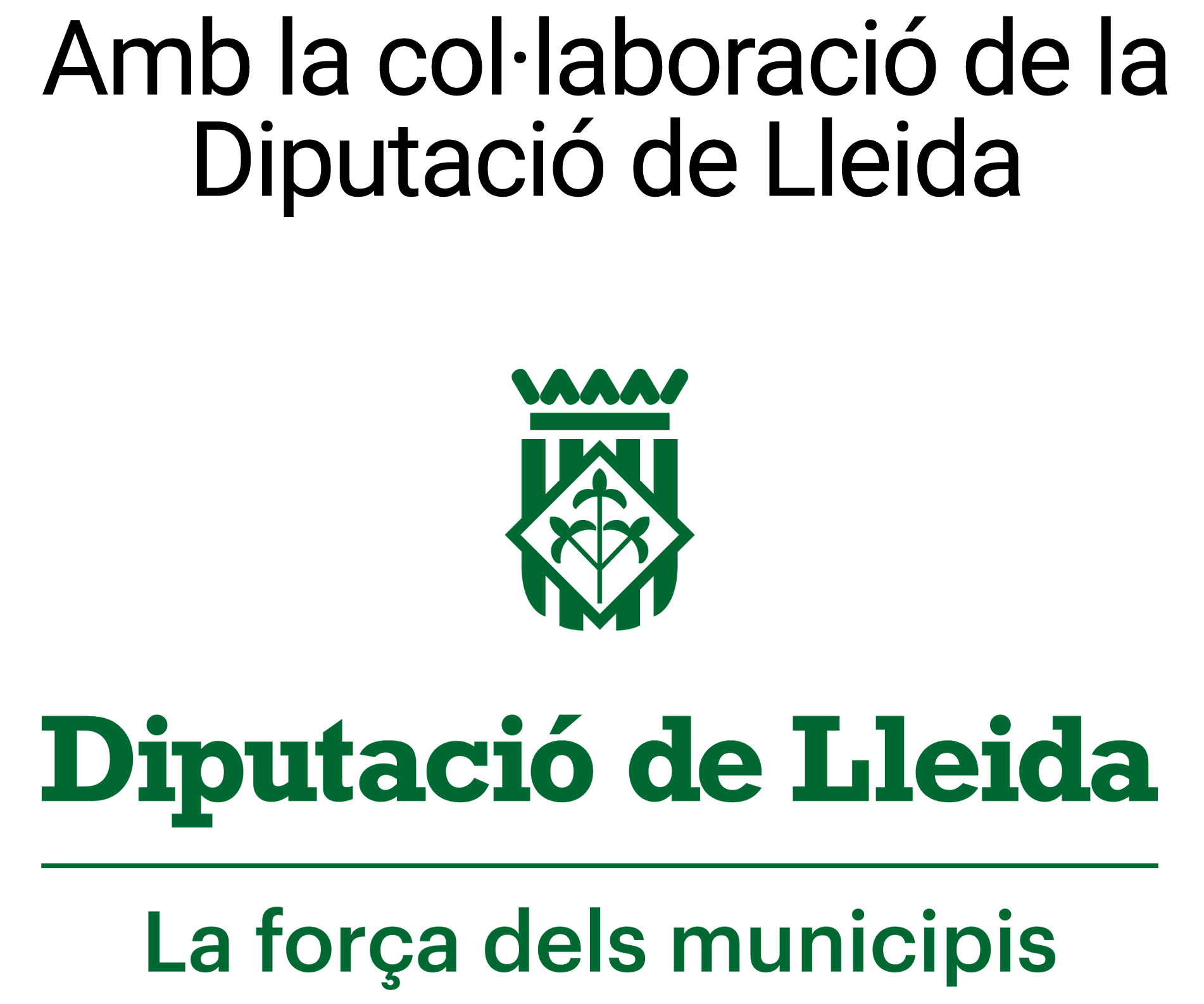 Diputació de Lleida