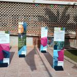 Evento Zaragoza 50 aniversario