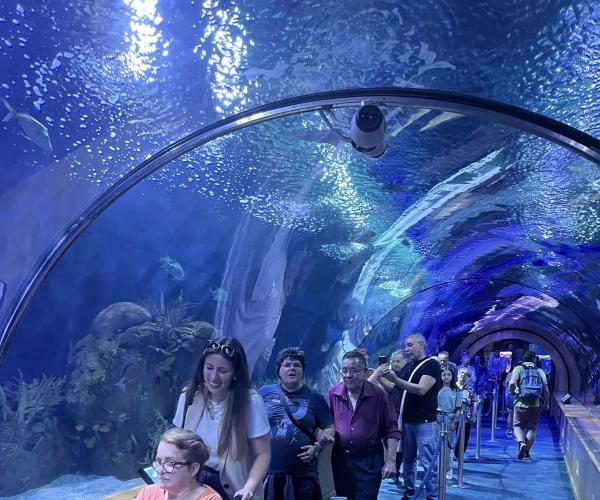 Visita al Oceanogràfic Casa Familiar Hellín