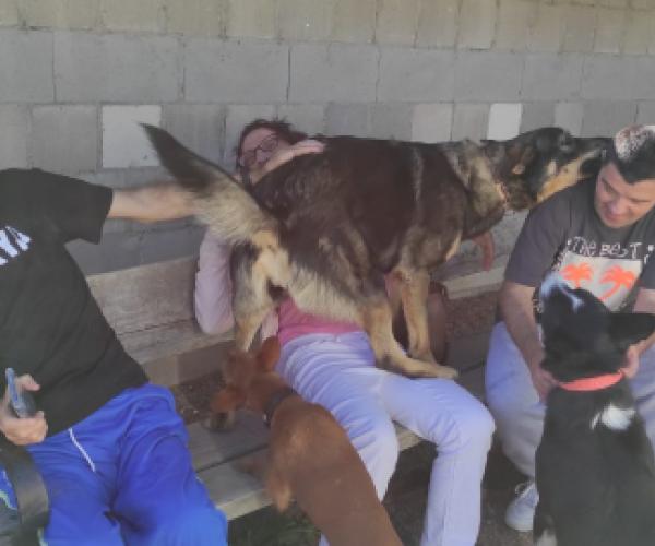 Terapia animales