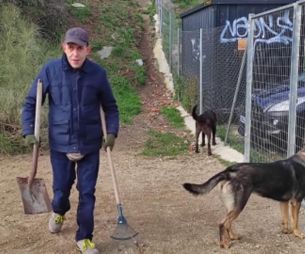 Terapia animales