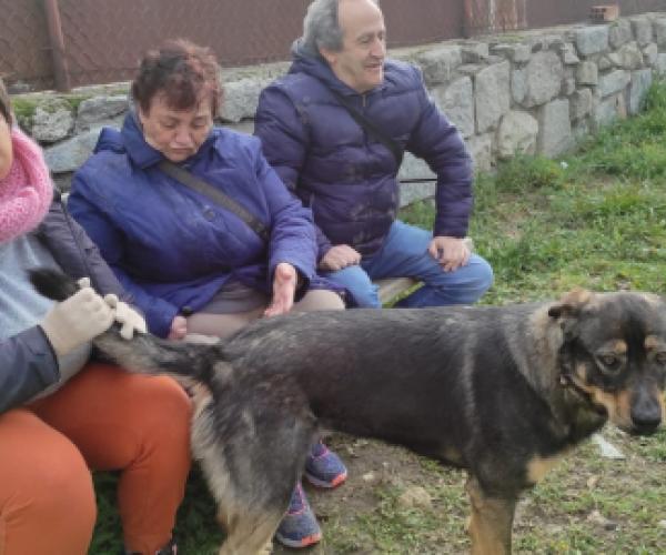 Terapia animales
