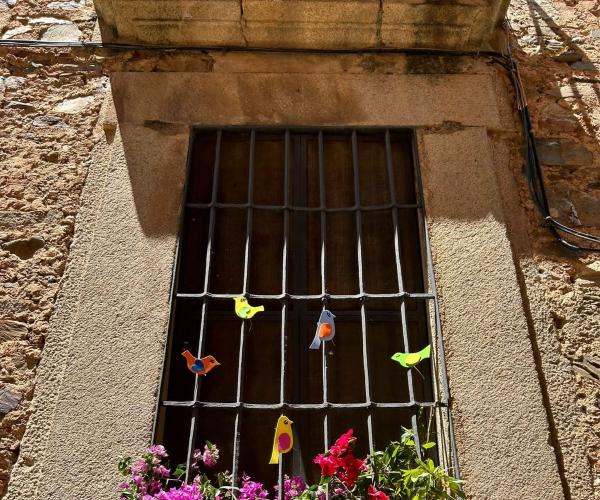 FESTIVAL DE LAS AVES CÁCERES