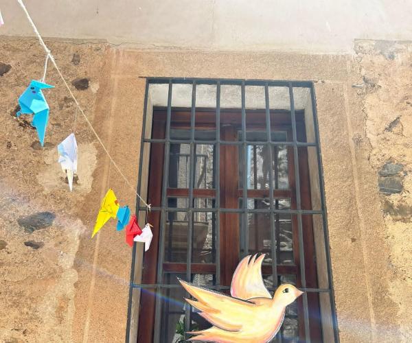 FESTIVAL DE LAS AVES CÁCERES