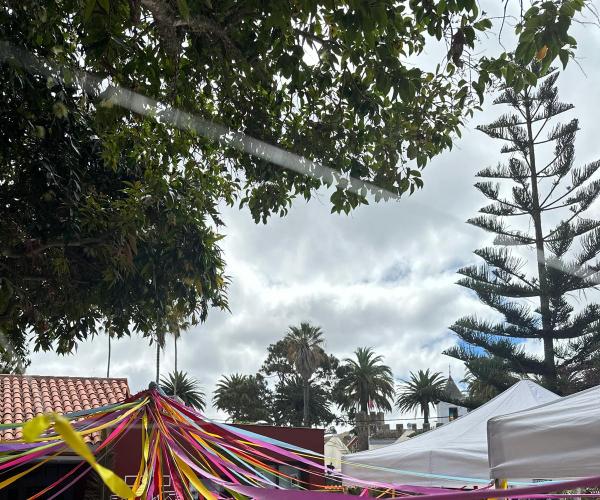 DÍA DE CANARIAS  - DECORACIÓN