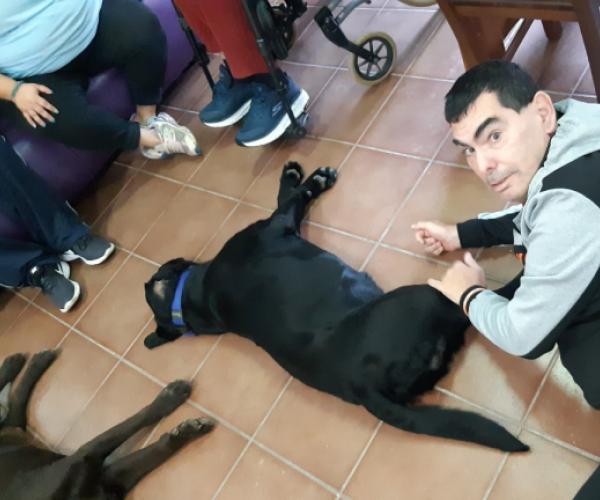 "Terapia asistida con animales, una terapia llena de beneficios"