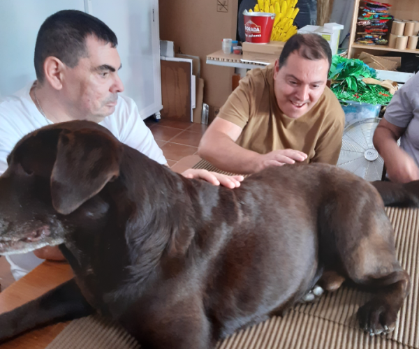 "Terapia asistida con animales, una terapia llena de beneficios"