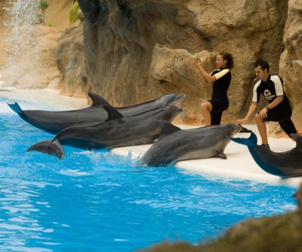 Visita a Loro Parque